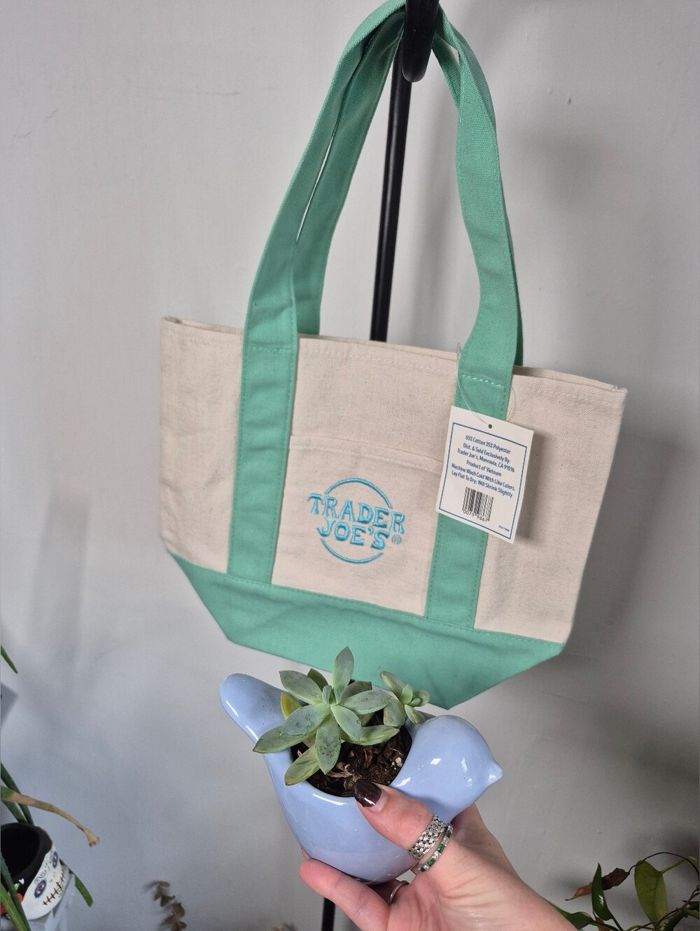 The Viral Trader Joes Mini Tote Pastel Mint Green & Cream